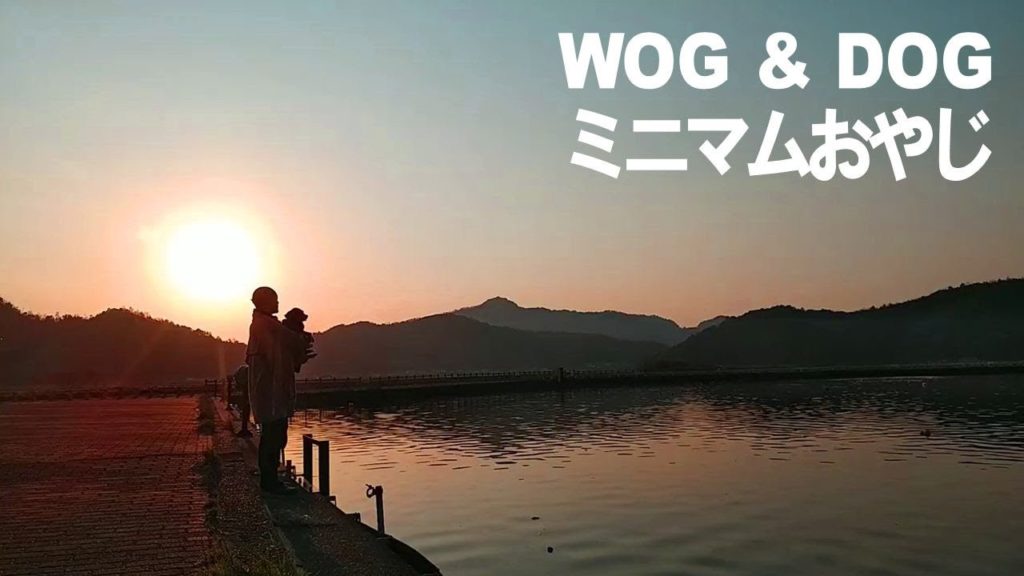 #25 1655yen ($15): Minimum travel Japan : Japanese WOG & Samurai DOG !