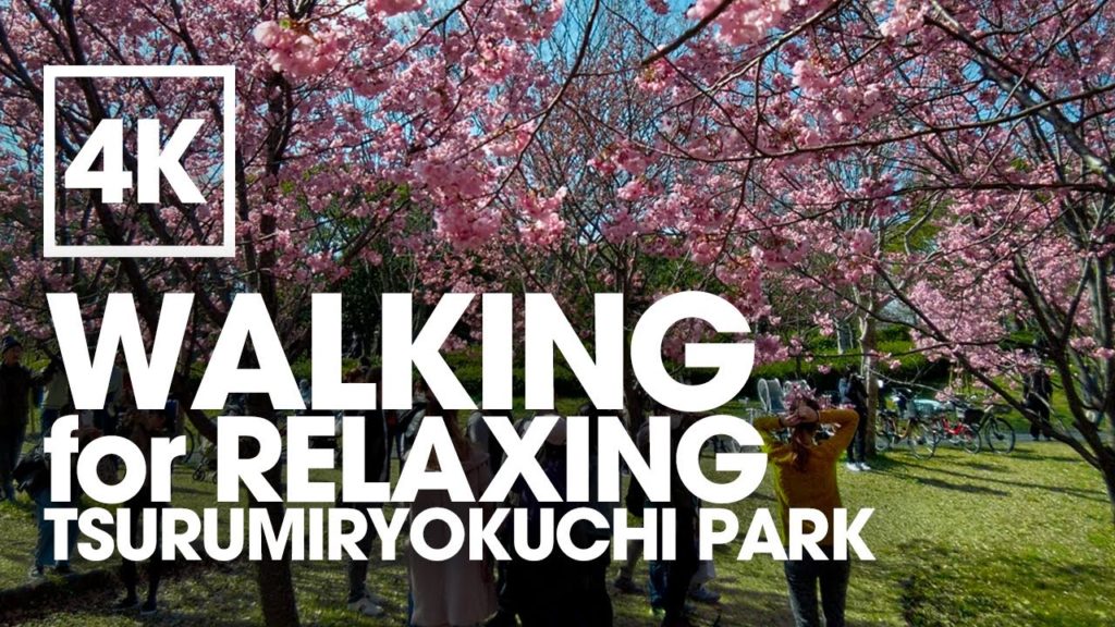 Walking Tour Osaka Tsurumiryokuchi Park 4K