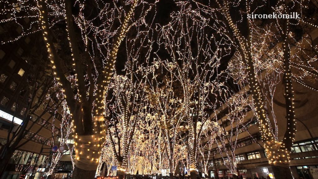 [HD]2015年 東北・ウィンターイルミネーション 仙台 光のページェント SENDAI PAGEANT OF STARLIGHT