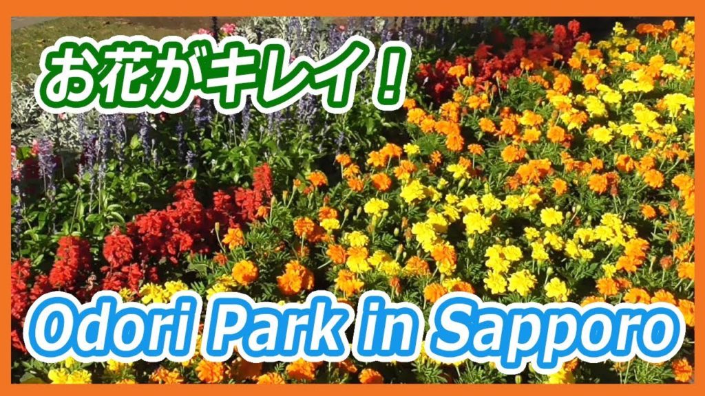 Comfortable summer sun `` Odori Park 2019 '' Sapporo