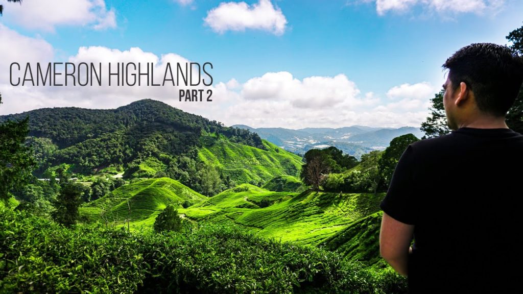 Things to do in CAMERON HIGHLANDS, Malaysia (Part 2) |  3 Days 2 Nights Travel Guide