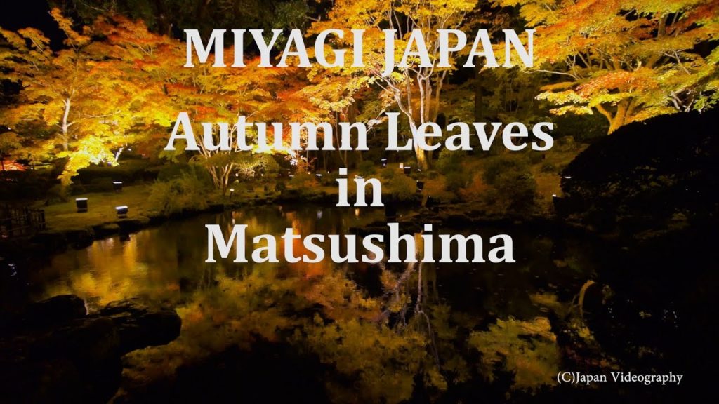 [4K]日本の美しい秋の風景 日本三景松島 円通院庭園 紅葉ライトアップ Japanese Autumn Colors Scenery in Matsushima Entsuuin Garden