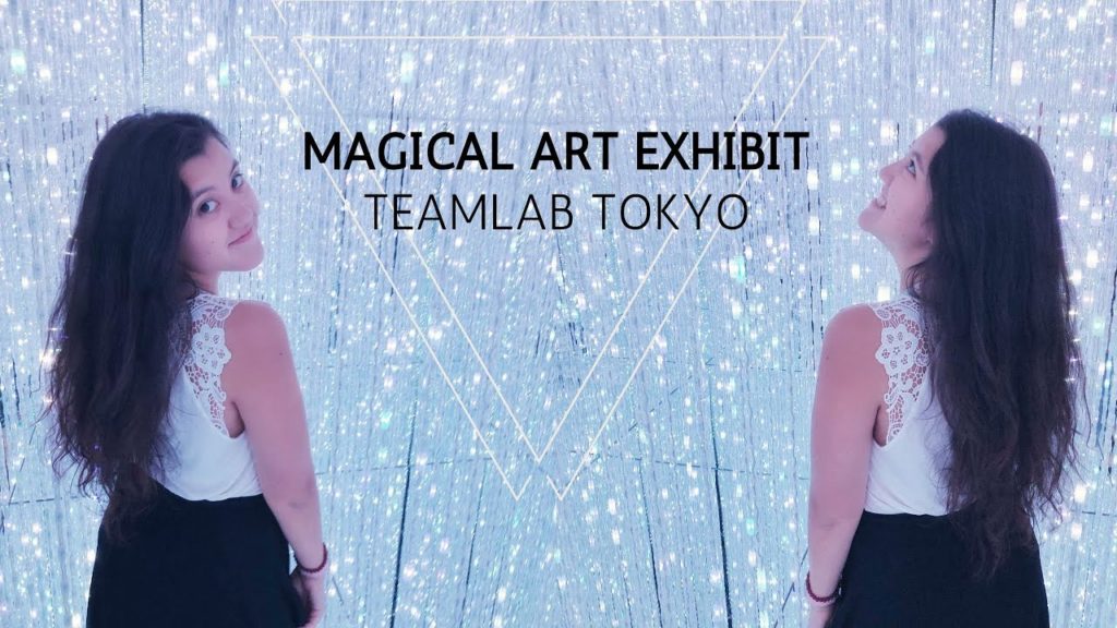 Magical Art Exhibit - teamLab Borderless Tokyo
