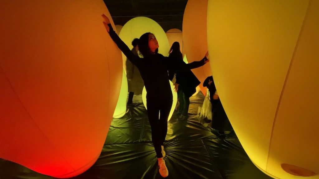 직장인VLOG | Travel Diary: Tokyo 🇯🇵✨ | Japan Vlog Part 2: teamLab Tokyo & Sensoji Temple | 도교 일본