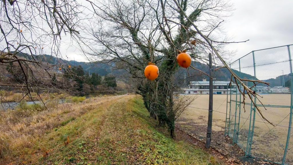 福井県福井市 境寺橋 〜 美山橋 Fukui Japan, Sakaidera to Miyama Bridge | 4K Binaural ASMR Walk