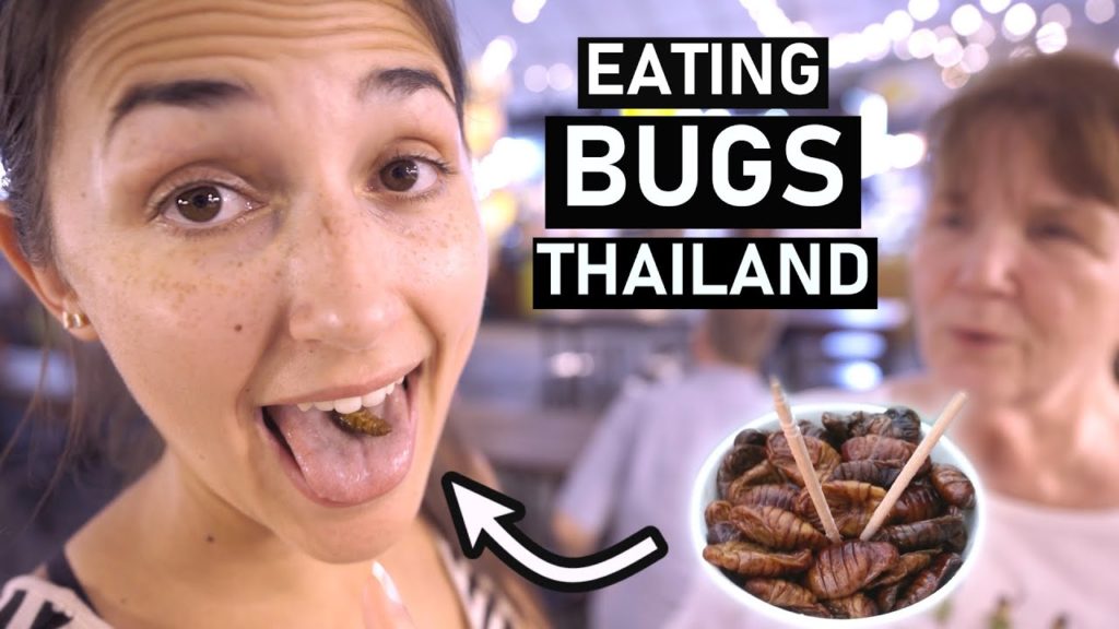 Arriving in CHIANG MAI, THAILAND - Exploring Old City, Thai food, and BUGS!