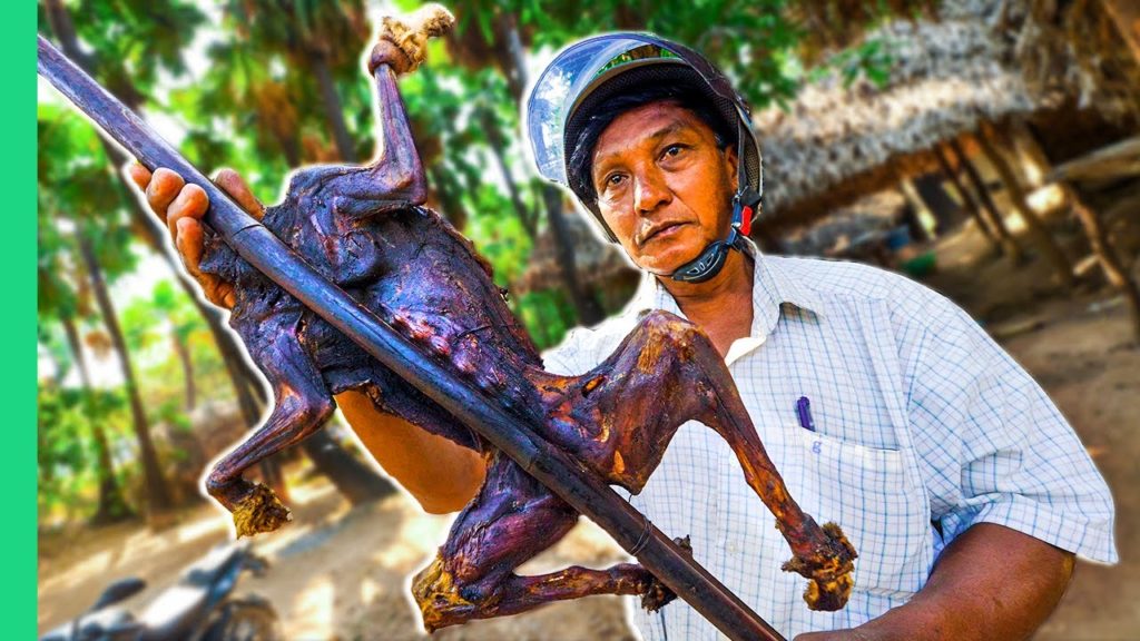 Asia's Rare EXOTIC Cuisine!!! (Would you try it??) Asia's Rare EXOTIC Cuisine!!! (Would you try it??)