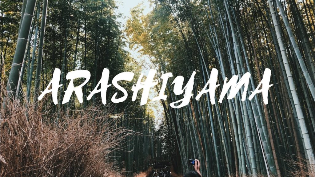 【嵐山】KYOTO Travel VLOG