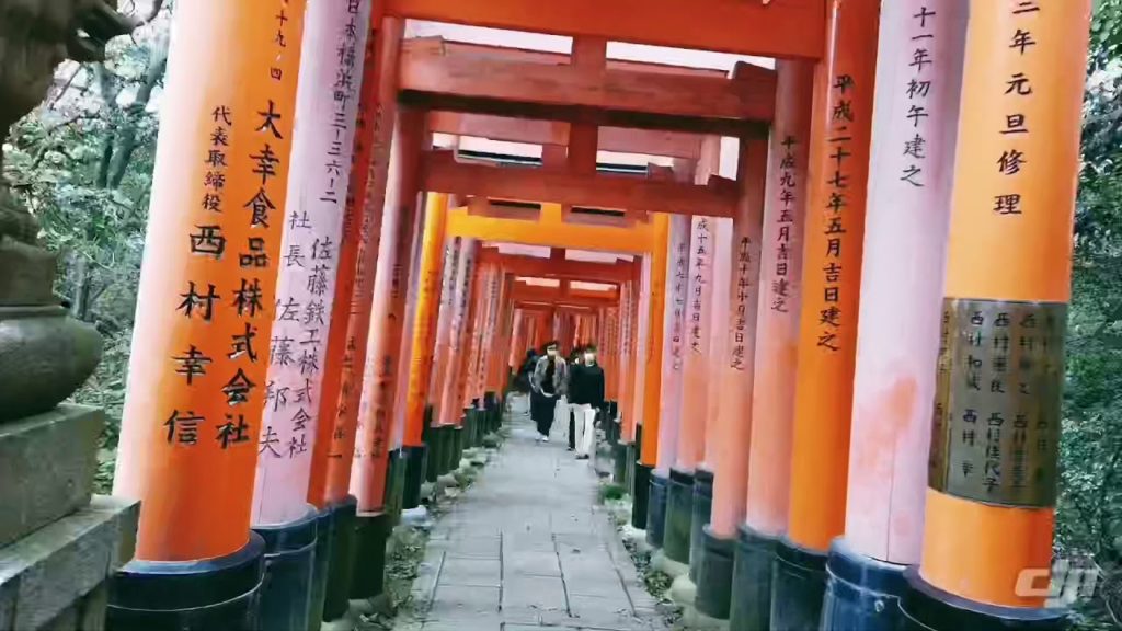 Kyoto trip by DJI osmo pocket(Fushimi inari shrine/Kiyomizu-dera /Kinkaku-ji)