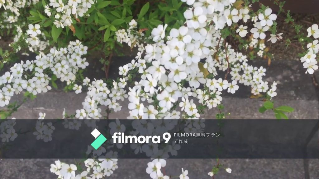 A holiday walk in Osaka vlog