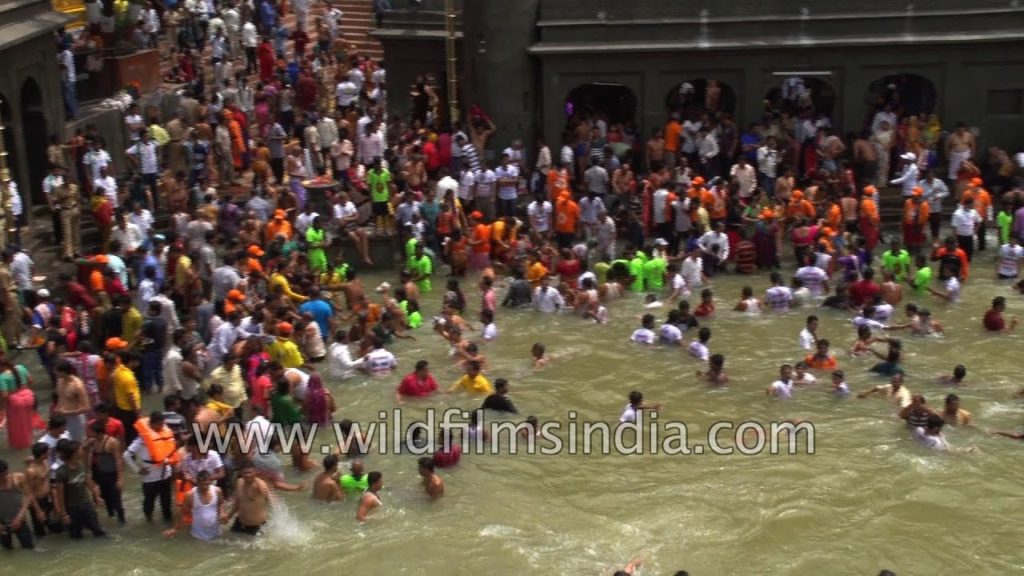 Nashik Simhastha Kumbh Mela 2015