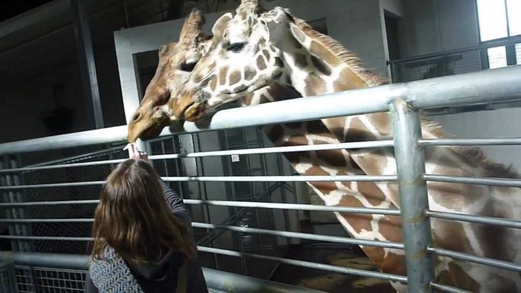 Virginia to Colorado, USA. | Nov 30 - Dec 10, 2010 | RTW Ep.152