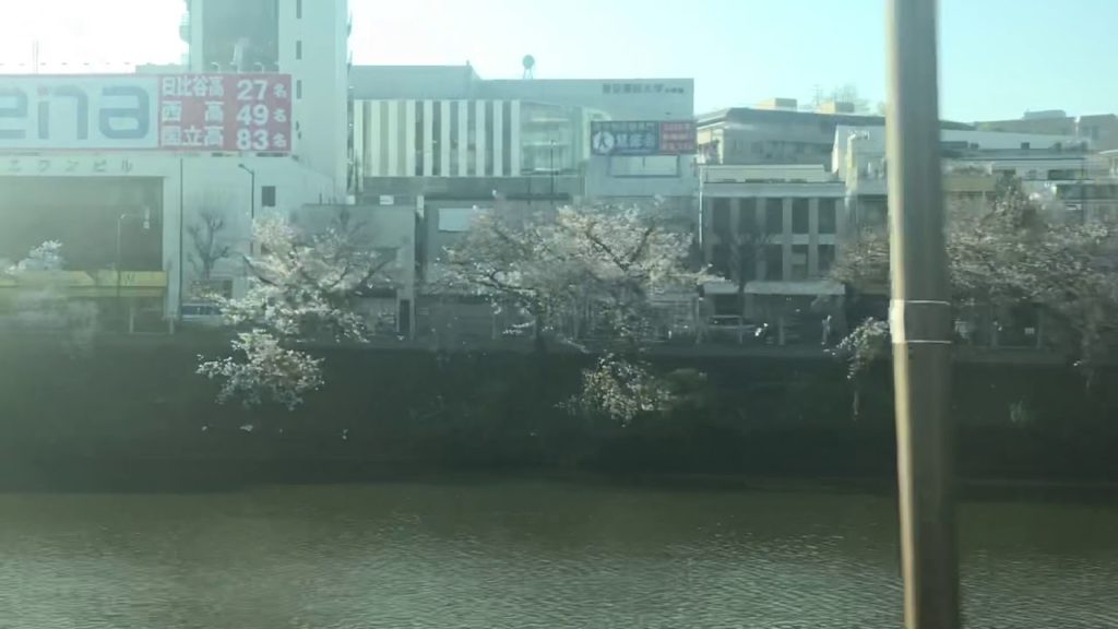 中央線の桜 2020 Tokyo Cherry Blossom from Train JR中央線周辺の車両から見る外堀沿いの桜並木 JR Chuo Line famous Sakura view 中央線の桜 2020 Tokyo Cherry Blossom from Train JR中央線周辺の車両から見る外堀沿いの桜並木 JR Chuo Line famous Sakura view