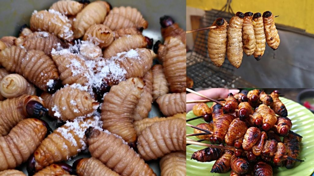DELICIOUS ROASTED SAGO CATERPILLAR (ULAT SAGU) "SHRIMP FLAVOR" / INDONESIAN EXTREME FOOD KALIMANTAN