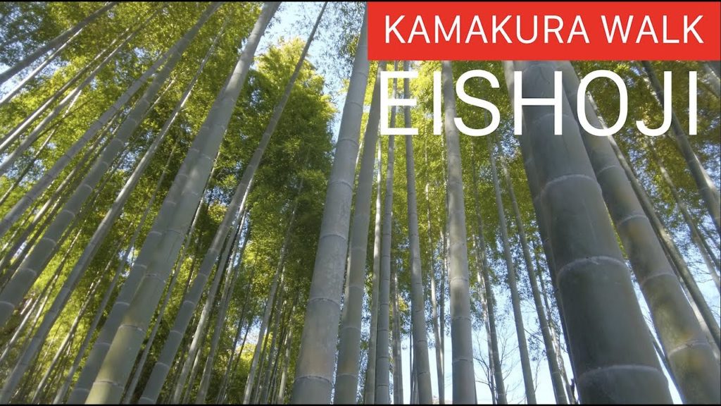英勝寺散歩/Eishoji Walk【4K】
