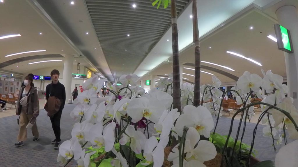 全員マスク？だれもいない 那覇空港　午後７時　Japan Okinawa Airport nearly empty as coronavirus stymies air travel