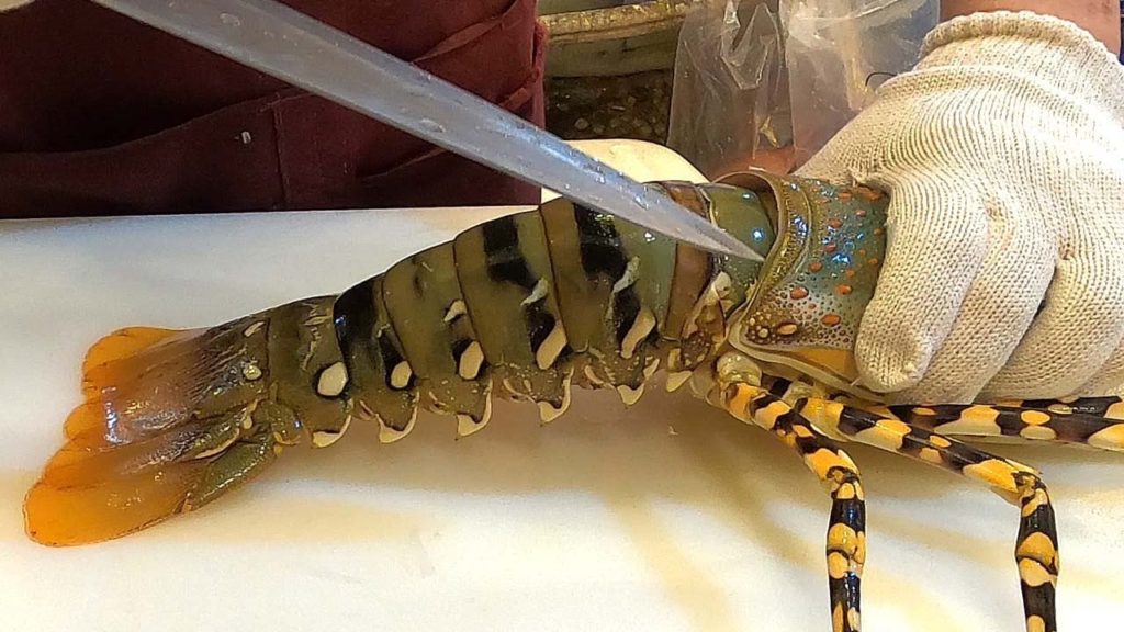 Taiwanese Street Food - $300 GIANT RAINBOW LOBSTER Sashimi 巨大彩虹龍蝦Taiwan Seafood