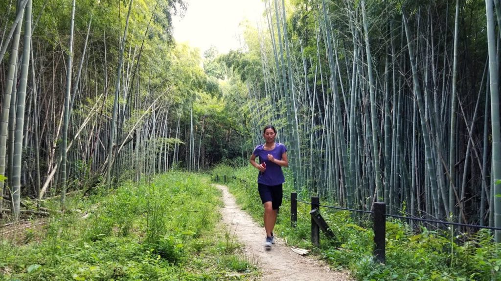 【4K】Relaxing Walk Through Bamboo Grove In Nagoya Japan | ASMR 【4K】Relaxing Walk Through Bamboo Grove In Nagoya Japan | ASMR