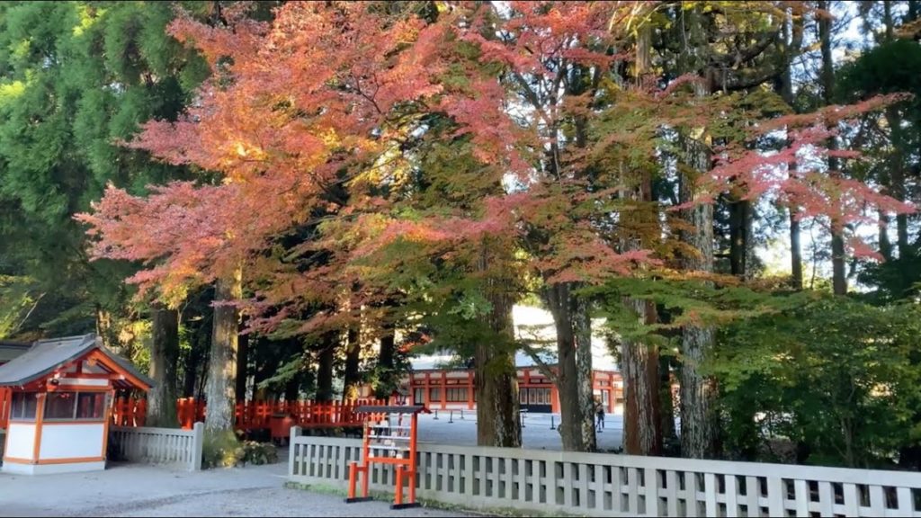 霧島市霧島田口 桜島と秋染まる霧島神宮 2919/11/29 4K