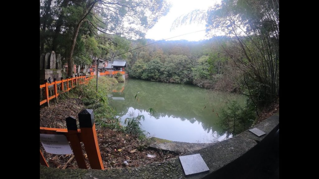 Japan: Semester At Sea Spring 2020