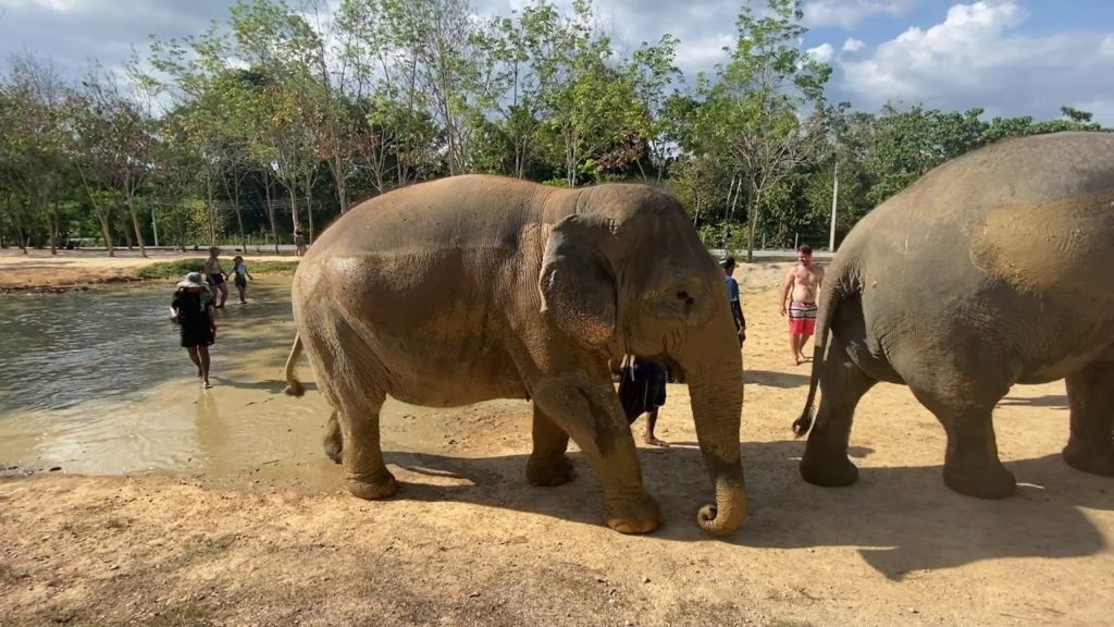 Our honeymoon in 2020