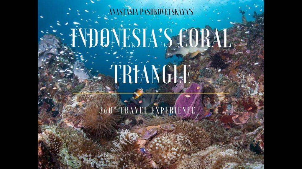 Dive into Indonesia Coral Triangle - 3D 360° Travel Experience