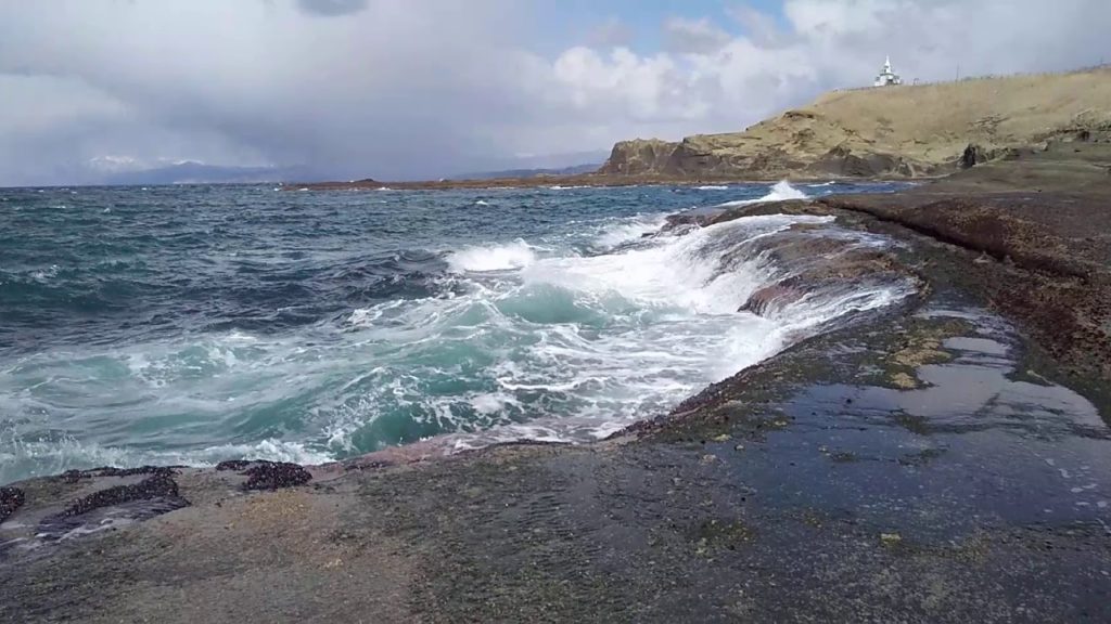seagull island Hokkaido, Japan.