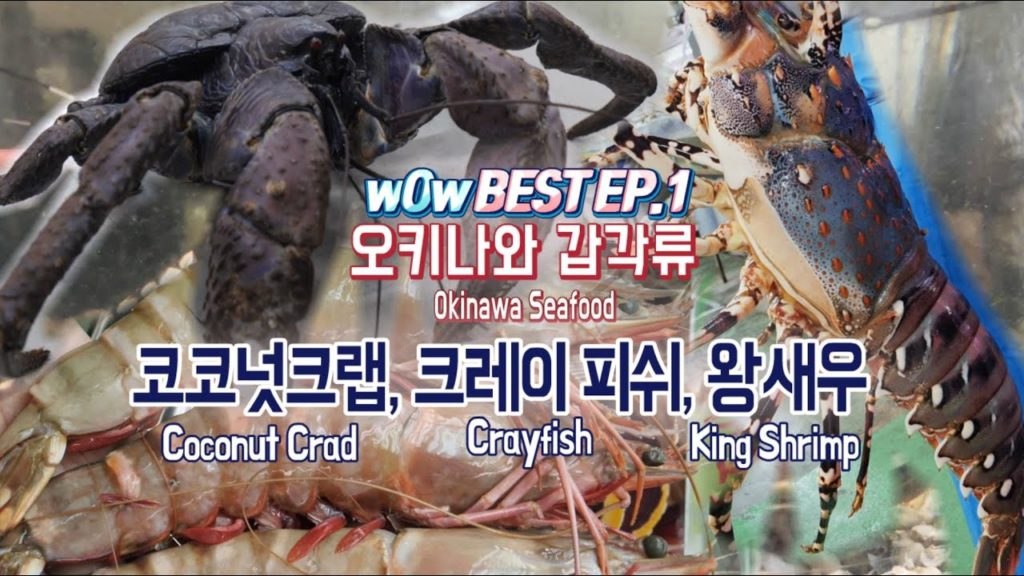 wOw! 오키나와 해산물 갑각류 베스트 / 코코넛크랩, 크레이피쉬, 왕새우가 여기 다 있습니다 / okinawa seafood / Japanese seafood wOw! 오키나와 해산물 갑각류 베스트 / 코코넛크랩, 크레이피쉬, 왕새우가 여기 다 있습니다 / okinawa seafood / Japanese seafood