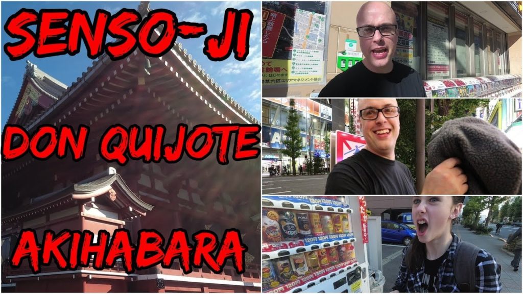 Japan Trip Day 02 | Senso-Ji Temple | Don Quijote | Akihabara