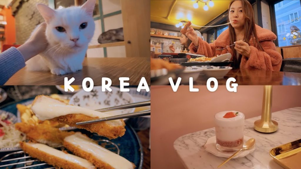 Bumping Into A Celebrity, Foods To Eat In Hongdae & Meeting 9BIT! π°π· | KOREA VLOG Bumping Into A Celebrity, Foods To Eat In Hongdae & Meeting 9BIT! π°π· | KOREA VLOG