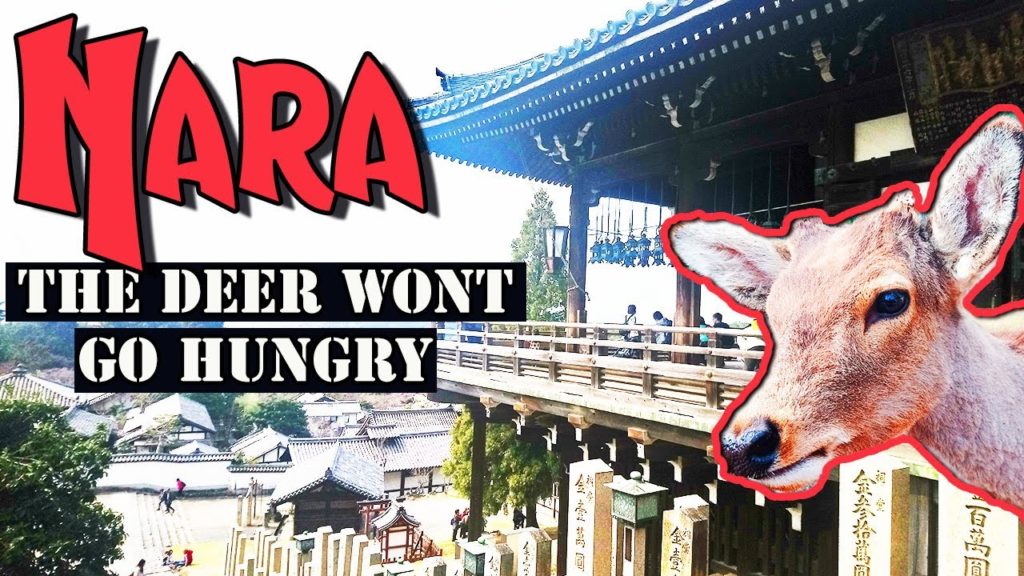 The Deer in NARA will not go hungry! | NARA JAPAN during Sakura Season 2019