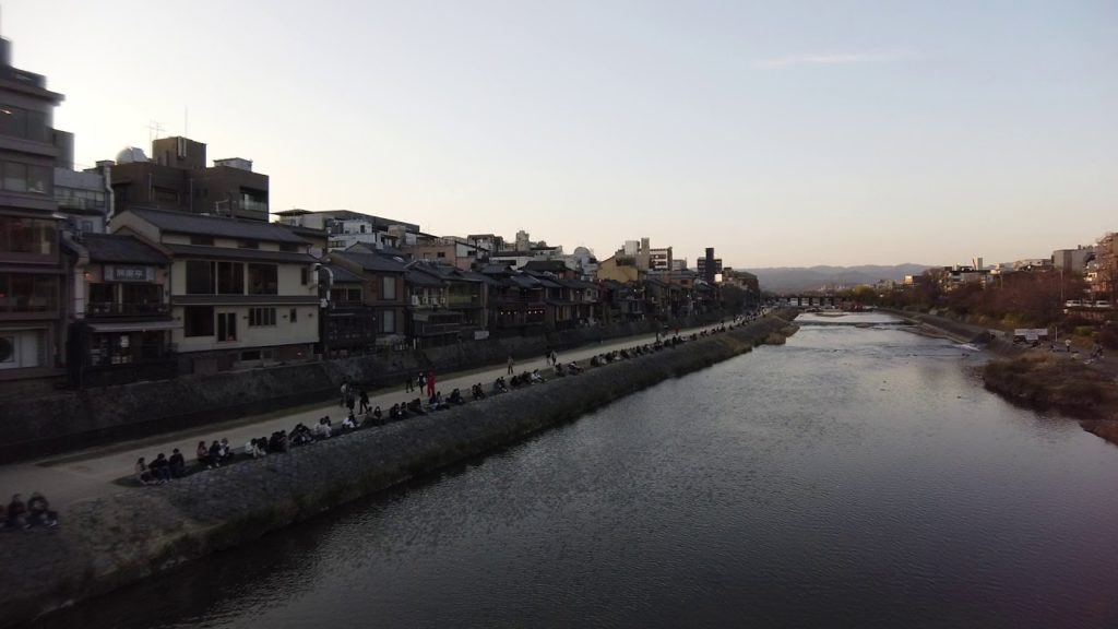 【夫婦で修学旅行】あれ?10m間隔じゃない 鴨川の様子 京都旅行(2020/3/21)(Kyoto Kamogawa on 2020/3/21)