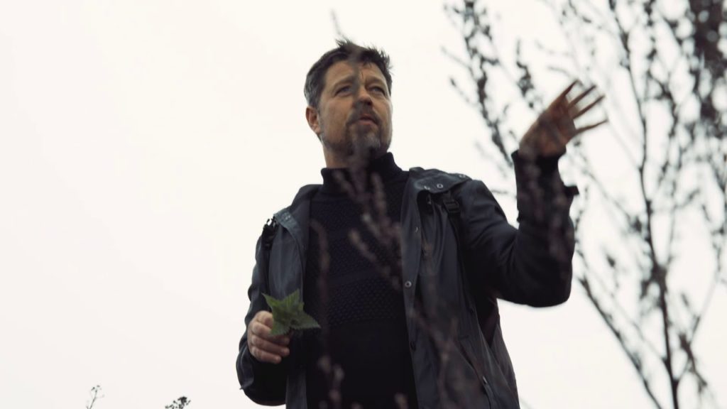 Just another snack to go – oysters from Denmark