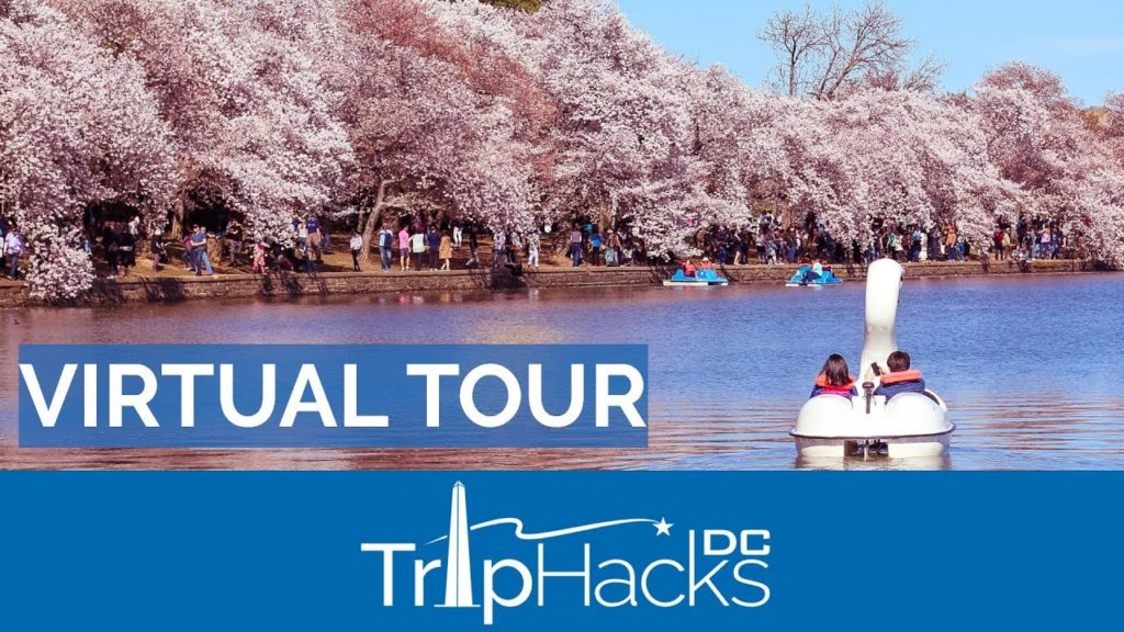 2020 Washington DC Cherry Blossom VIRTUAL TOUR