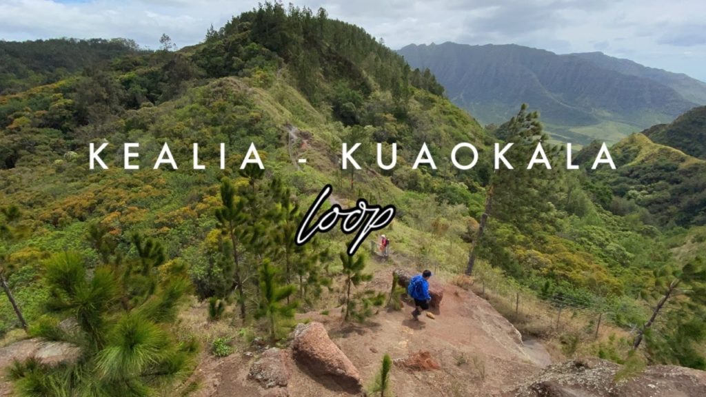 Kealia - Kuaokala Loop | Hiking Vlog