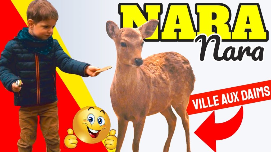 Vlog Nara Japon en famille : La Ville aux Daims et aux temples !
