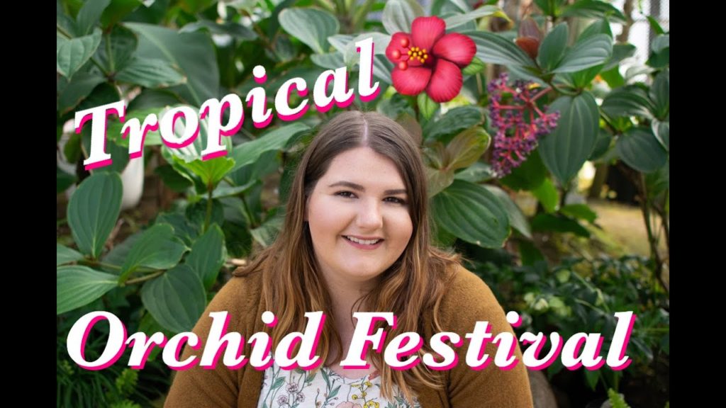 First outing in Spring | Tropical Orchid Festival | Hiranai Town Japan | Travel Vlog