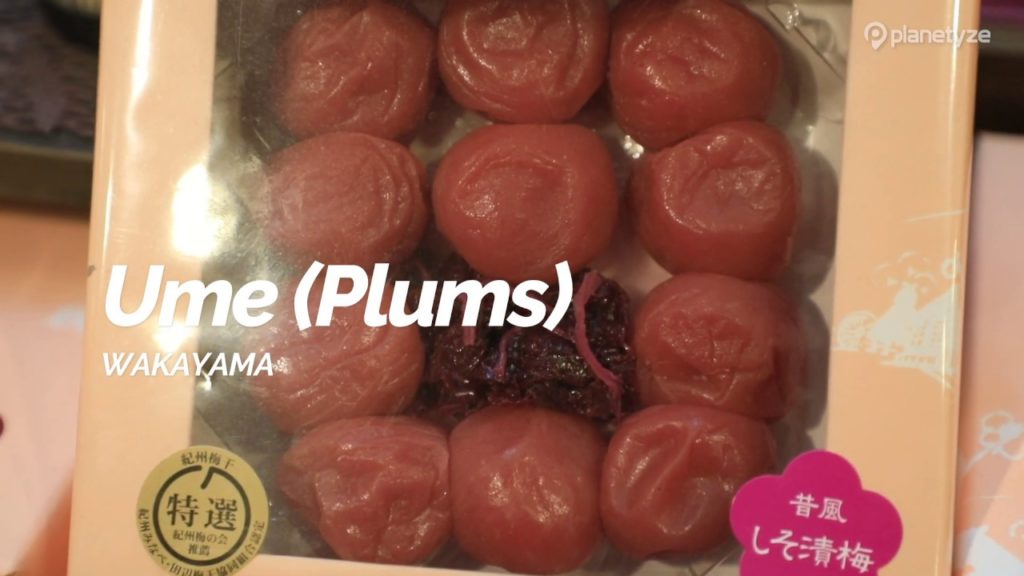 Ume (Plums), Wakayama | Japan Travel Guide