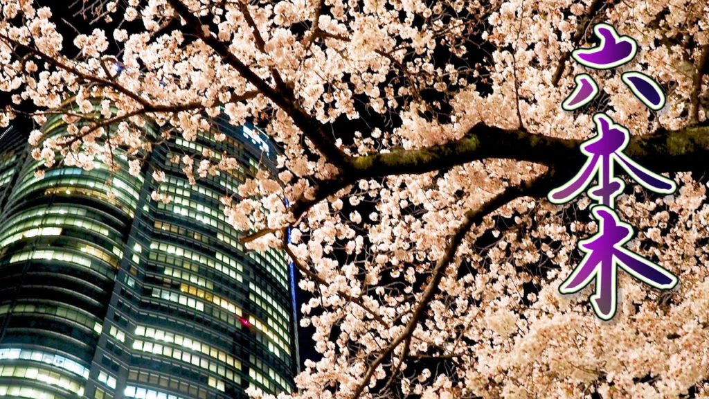 TOKYO【Cherry blossoms】“Somei-Yoshino”at Roppongi under refraining from nonessential travel.六本木 #4K TOKYO【Cherry blossoms】“Somei-Yoshino”at Roppongi under refraining from nonessential travel.六本木 #4K
