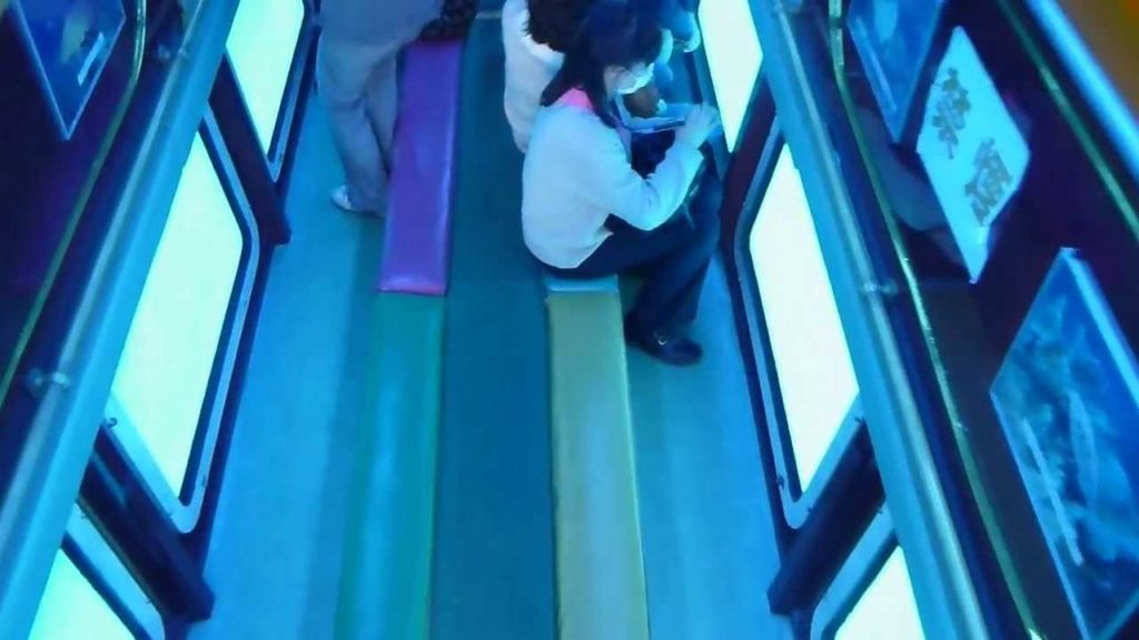 水中観光船オルカ号に実際に乗ってきました！