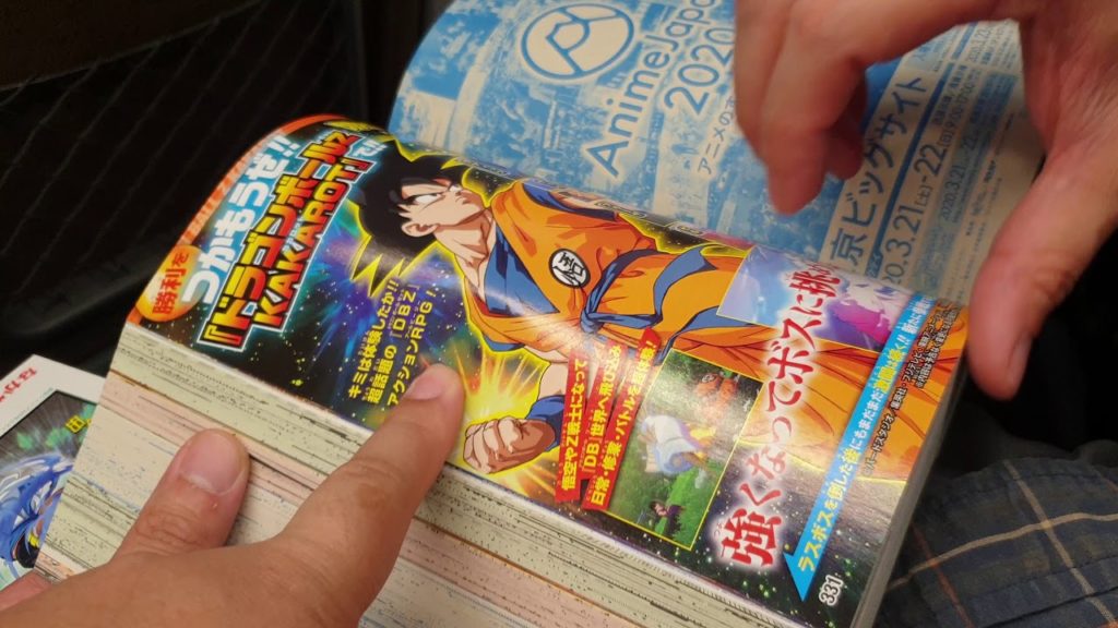 Japan Vacation March 2020