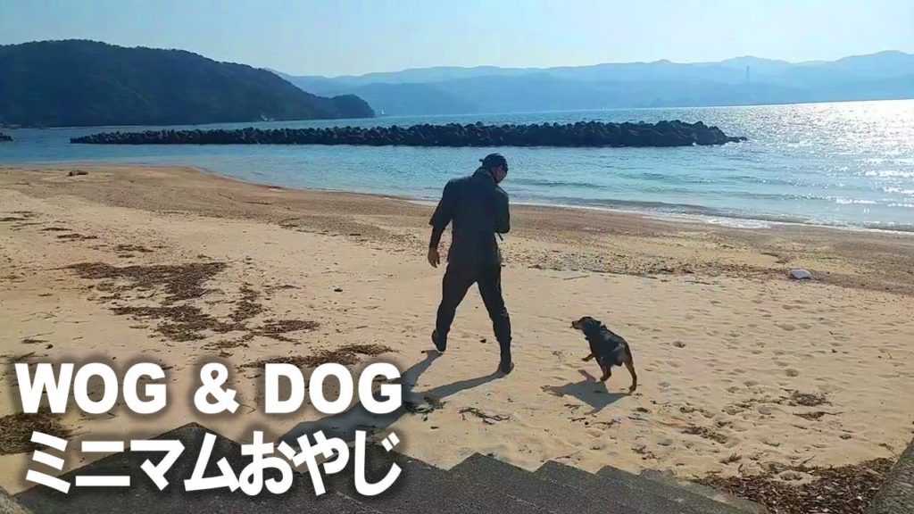 #26 2504yen ($23): Minimum travel Japan : Japanese WOG & Samurai DOG !