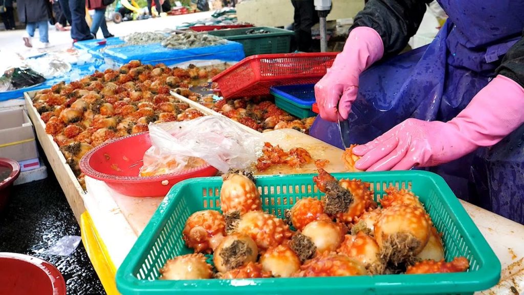 Fresh Sea squirt Cutting and Sashimi - Korean Street Food