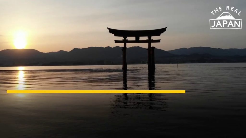 We need YOUR Help! 1,000 Subscribers Goal | The Real Japan | HD