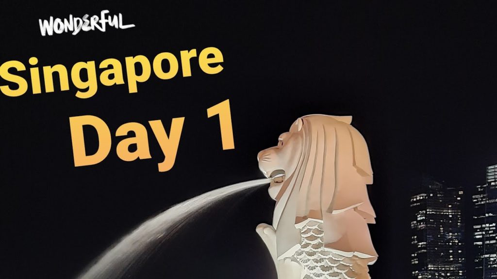 VISIT TO SINGAPORE | EXPENSIVE COUNTRY IN WORLD | Must visit places in Singapore | सिंगापूर यात्रा |