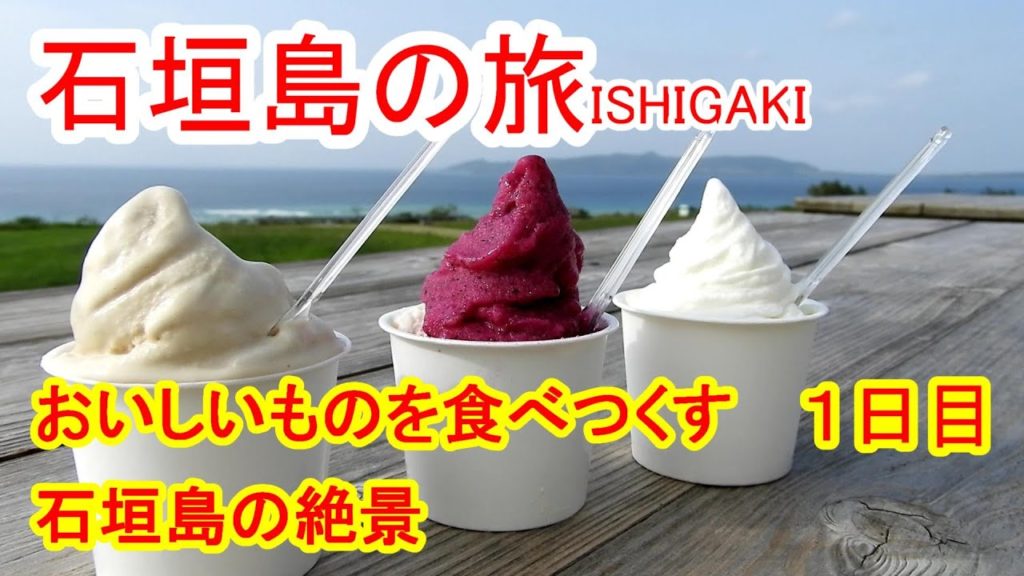 石垣島旅行　石垣島のおいしいものを食べつくし、絶景を訪ねる旅　１日目 (沖縄旅行)