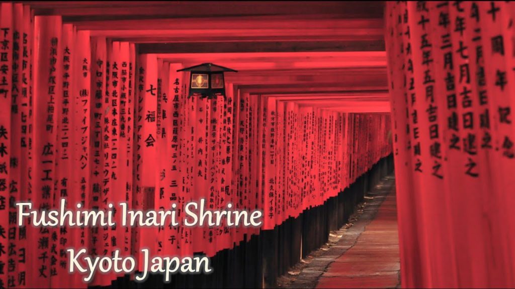 Fushimi Inari Shrine at night【4k】Travel Kyoto Japan