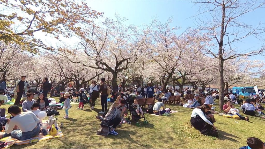 花見・桜・静岡まつり2019ダイジェスト Shizuoka matsuri Cherry Blossom(Sakura)in Japan