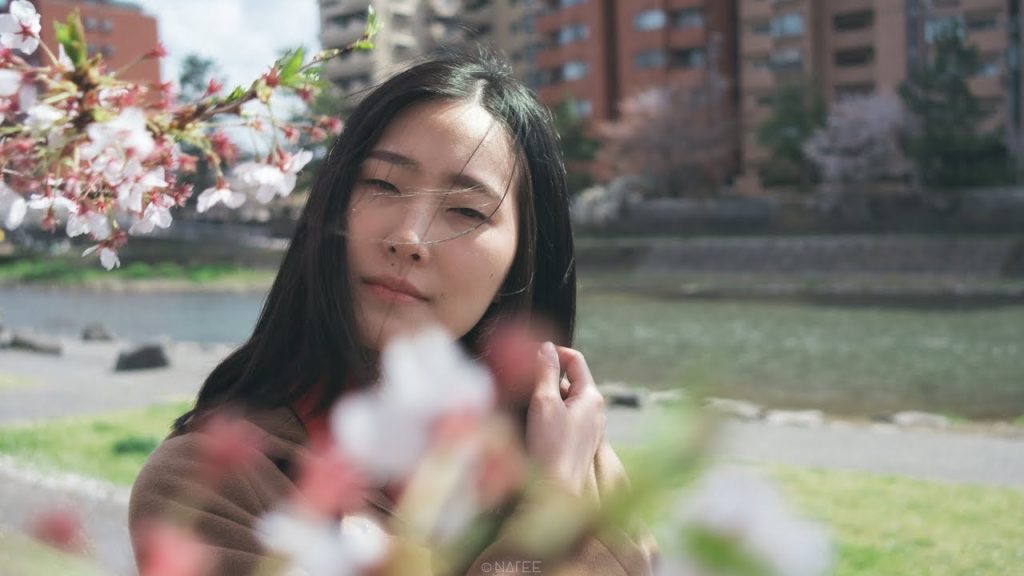 Travel Japan-Chubu in 2019 | Spring season | Travel Vlog [Cinematic Vlog]