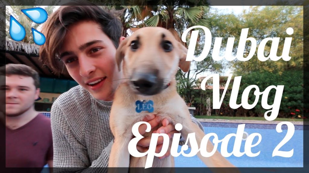 Flooded Swimming Pool?